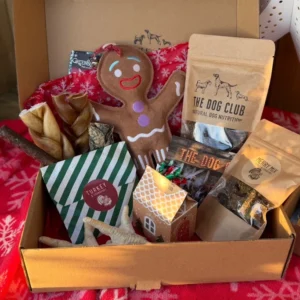 The Big Christmas Box!