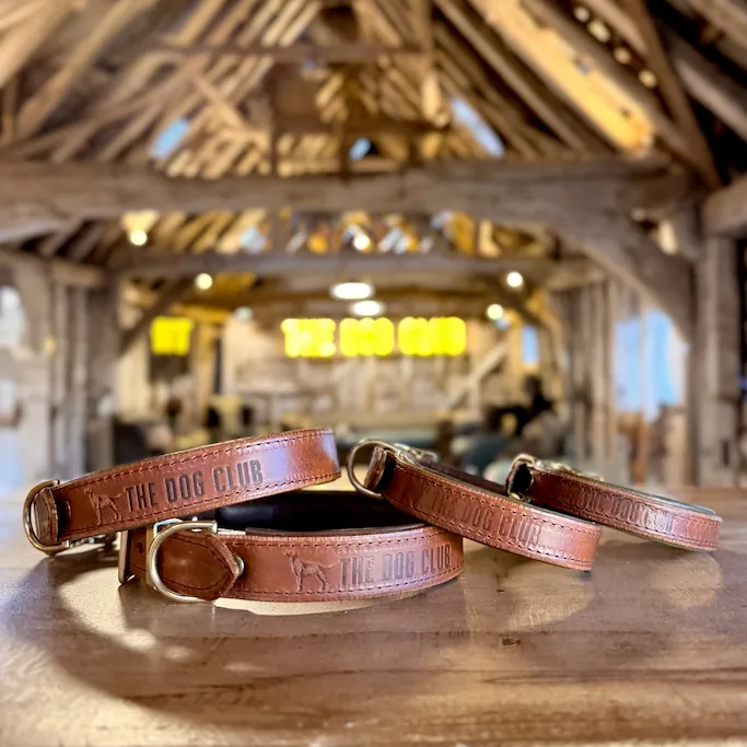 the-dog-club-collar-12