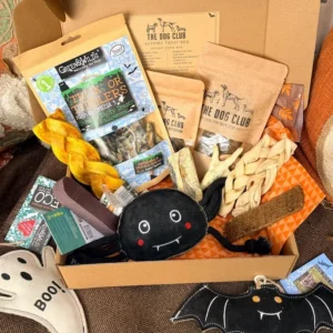 the-dog-club-halloween-treat-box-4